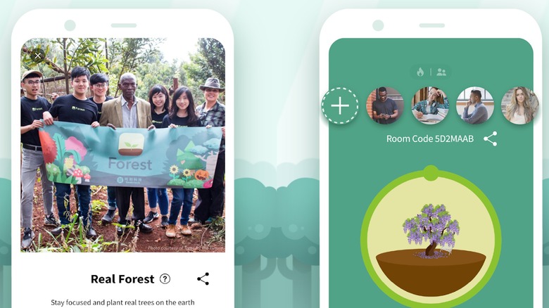 Forest Focus for Productivity app logo and interface