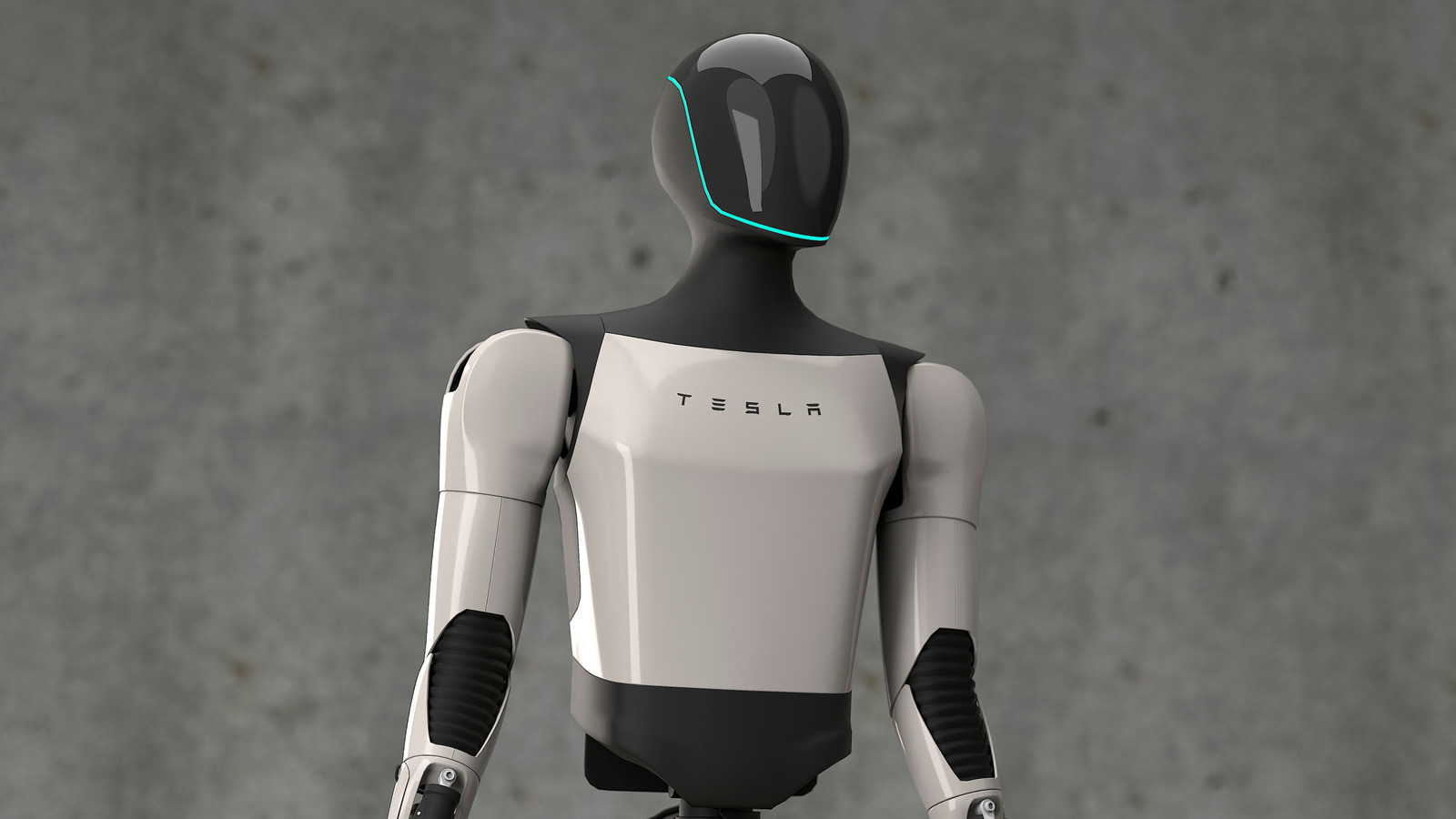 iRobot Co-Founder Calls Out Elon Musk's Optimus Robot 'Fantasy'