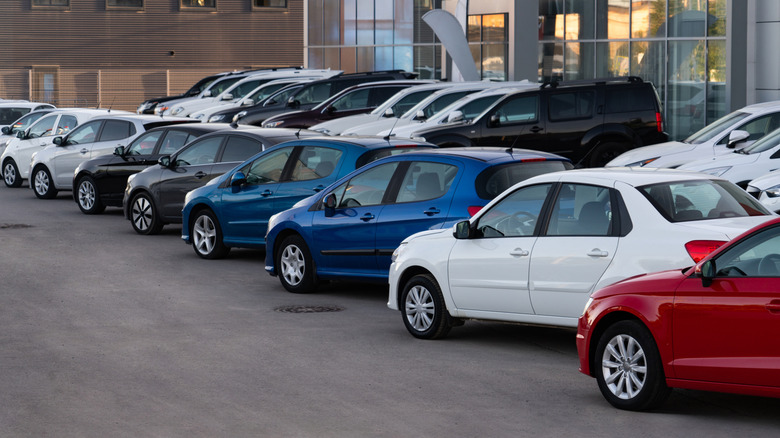 used cars lined up at dealership