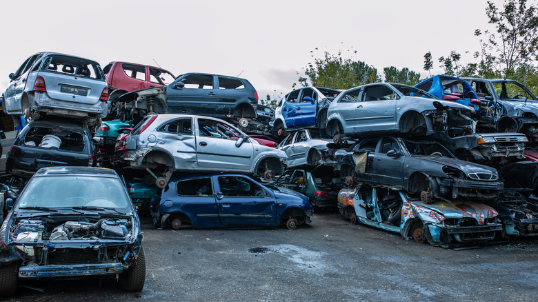 Cars in a junkyard