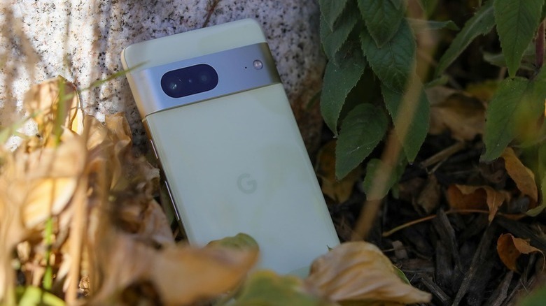 google pixel 7 tree