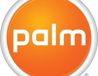 palm_logo1
