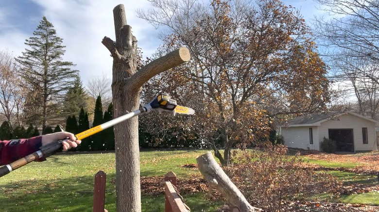 A pole saw severing a tree limb in a residential yard