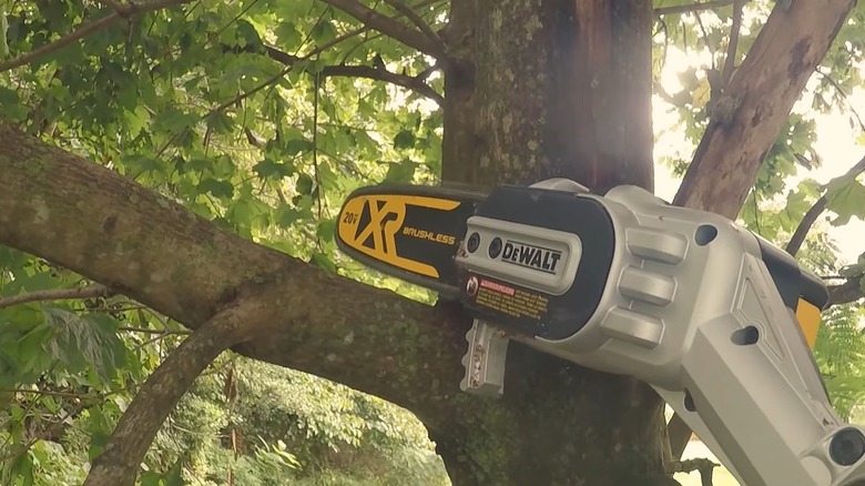 A close up of the DeWalt 20V pole saw just prior to cutting a branch