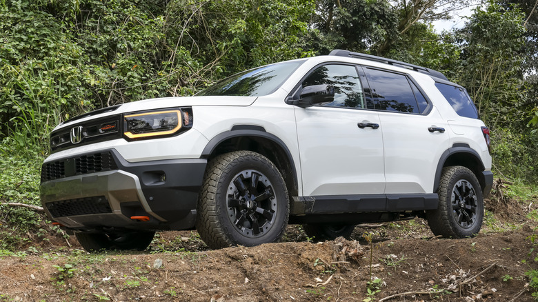 White 2026 Honda Passport TrailSport Elite parked on a forested off-road trail