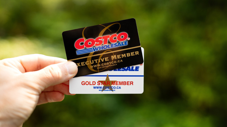 A person holding two Costco membership cards with blurred greenery in the background.