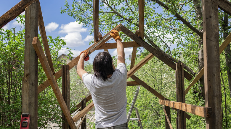 Person building a shed amid greenery