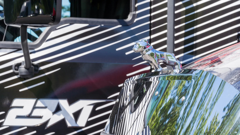 Bulldog hood ornament on a Mack Truck