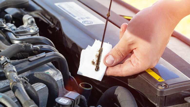Mechanic checking the oil using the dipstick