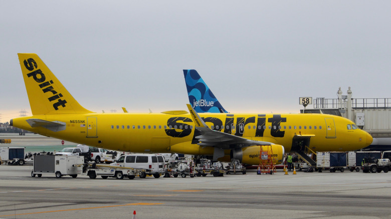 A Spirit Airlines jet on the tarmac with a JetBlue jet behind it