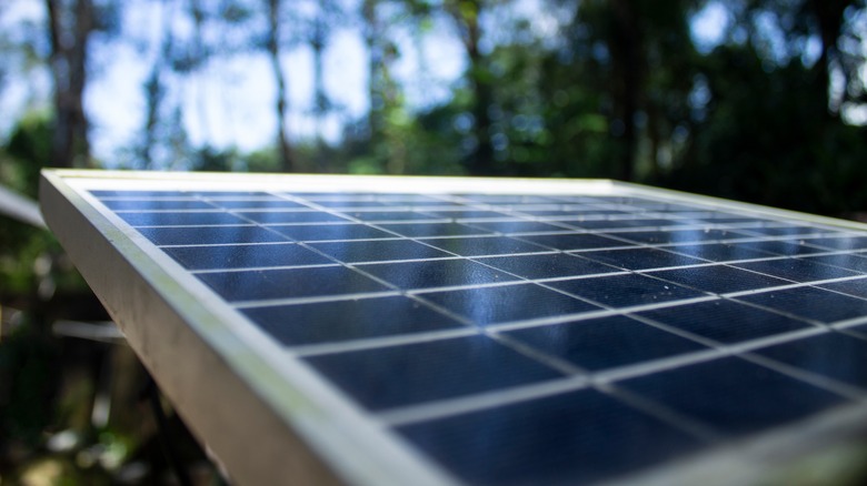 Solar panel in forest