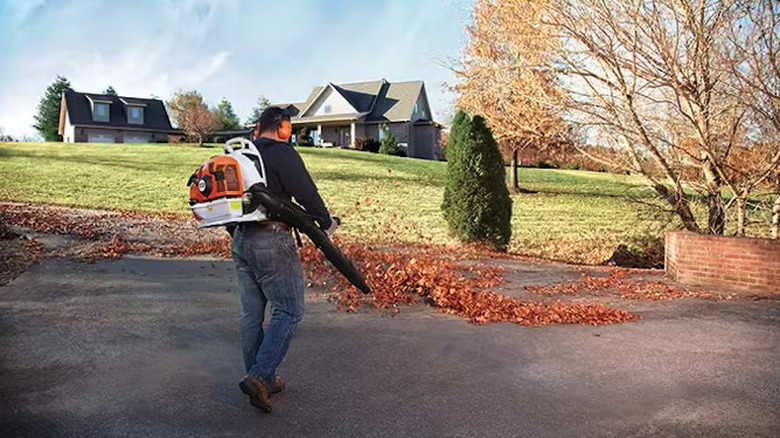 Stihl BR 430 leaf blower