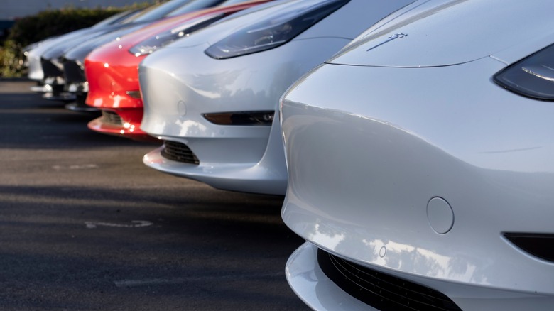 tesla cars parked in line