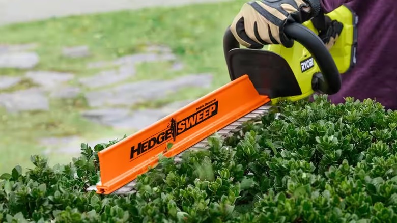 Ryobi cordless hedge trimmer on a hedge