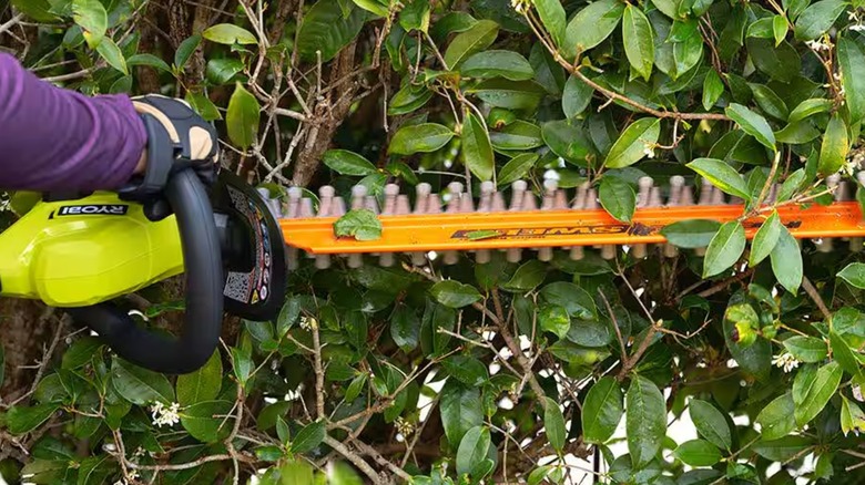 Side view of the Ryobi cordless hedge trimmer