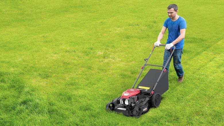Person using Amerisun lawn mower
