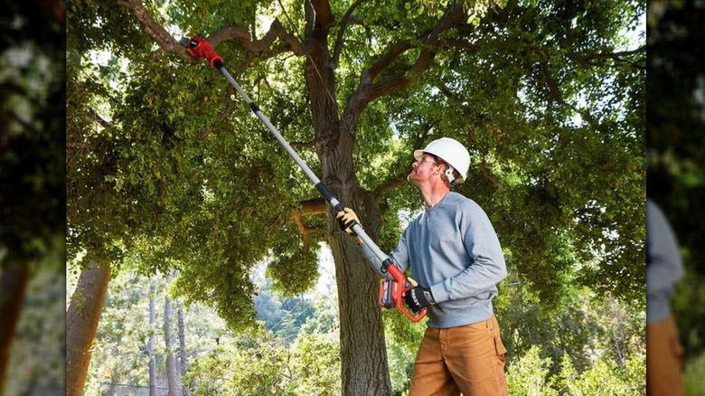 man using Bauer Pole Saw