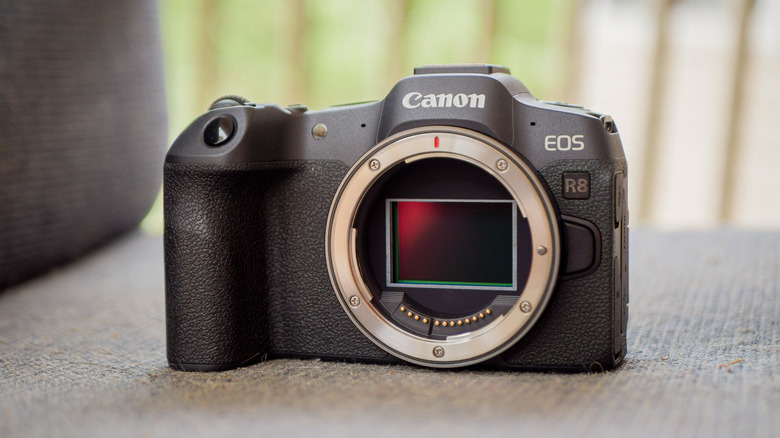 Canon EOS R8 Without Lens