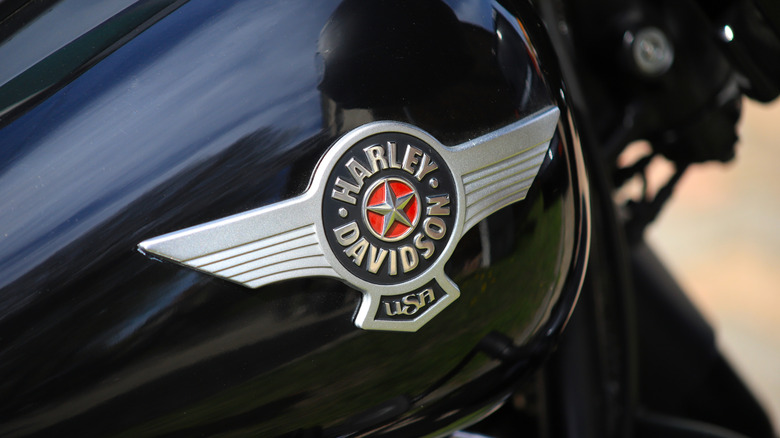 Black Harley Davidson 103 motorcycle with the logo zoomed in