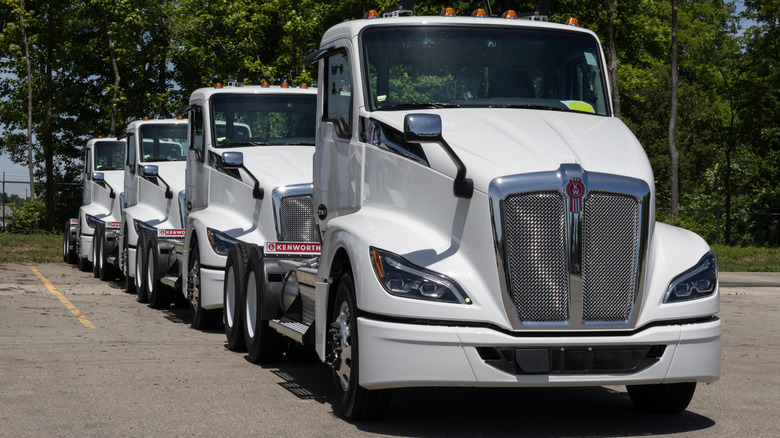 Four new white Kenworth T680 trucks parked in a row