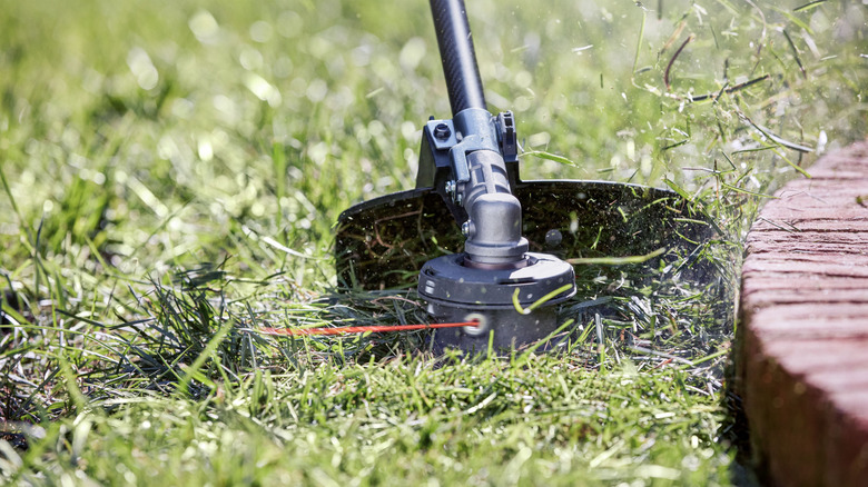 Ryobi 40V String Trimmer cutting grass