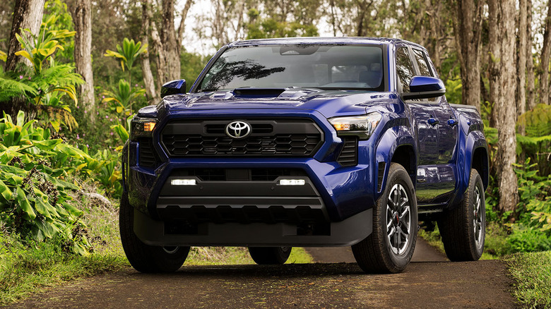 Front 3/4 view of blue Toyota Tacoma parked on forest trail.