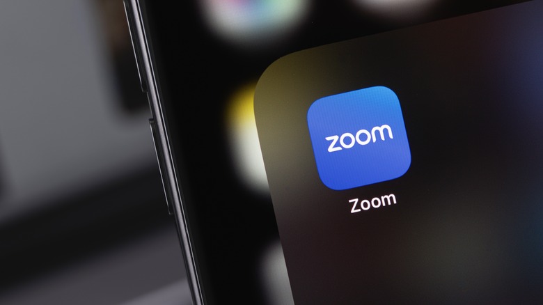zoom app