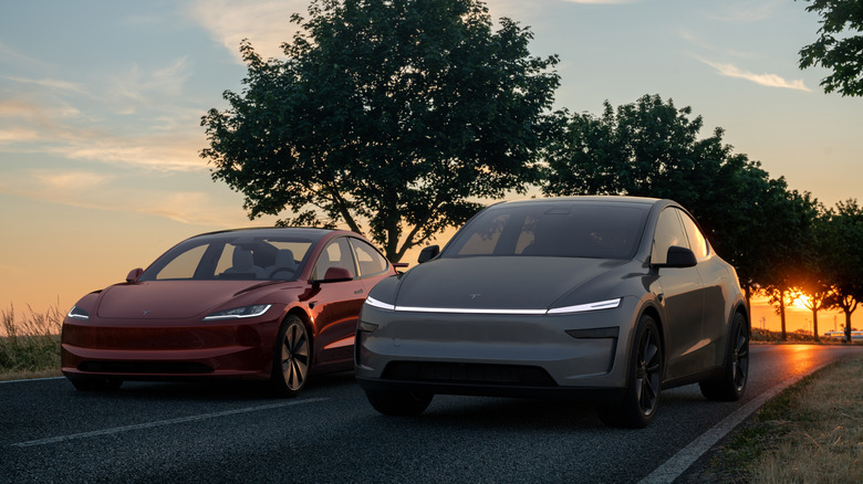Tesla Model Y and Model S with sunset