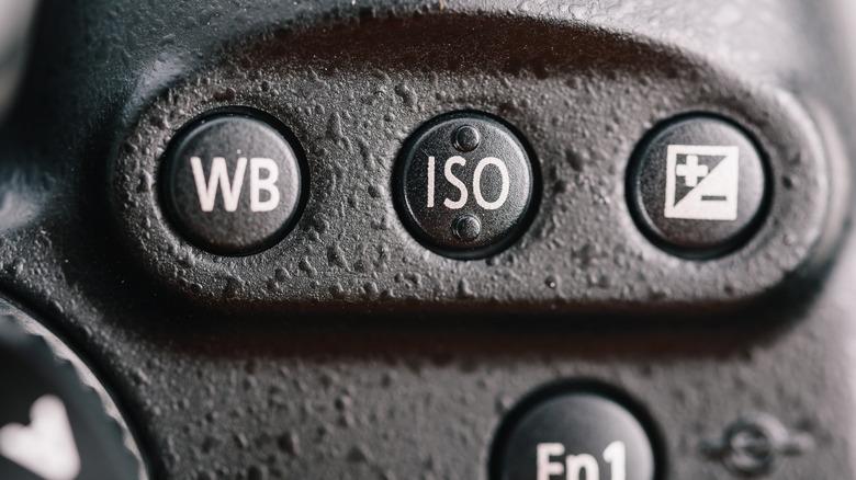 camera iso button closeup