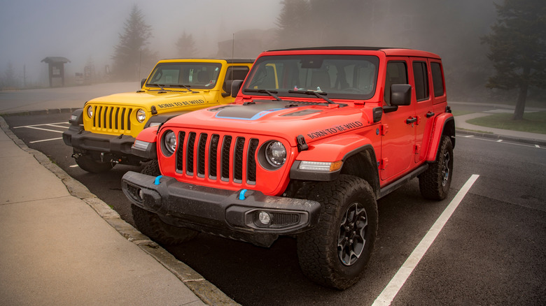 Jeep in the woods