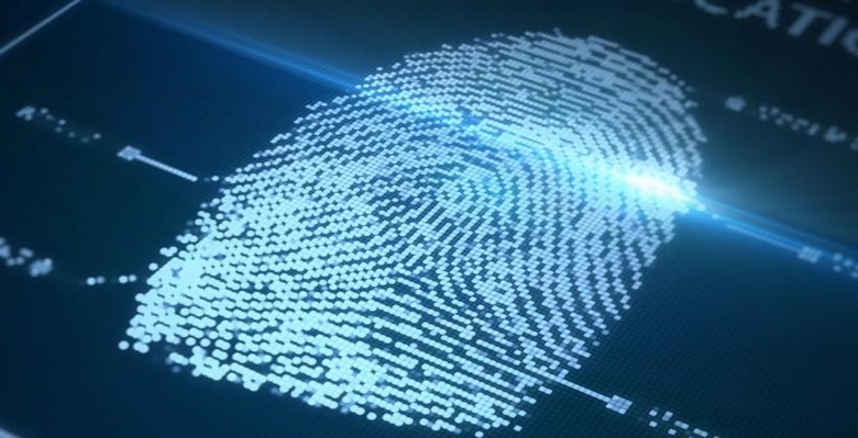 fingerprint