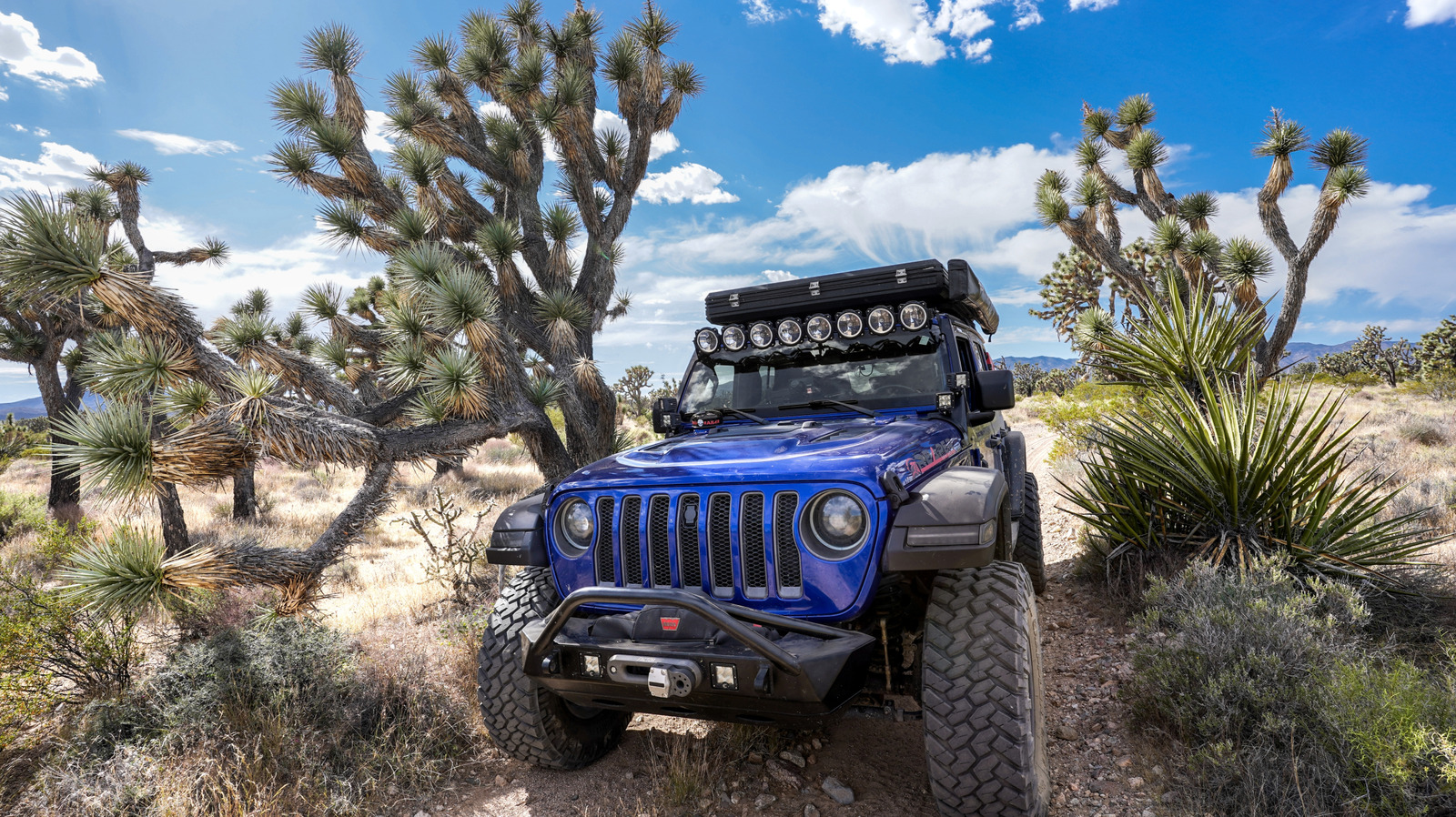 Judge Shuts Down 2,200 Miles Of Off-Road Trails To Preserve Endangered Species