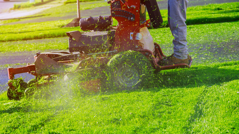 Mowing grass with a stand up mower