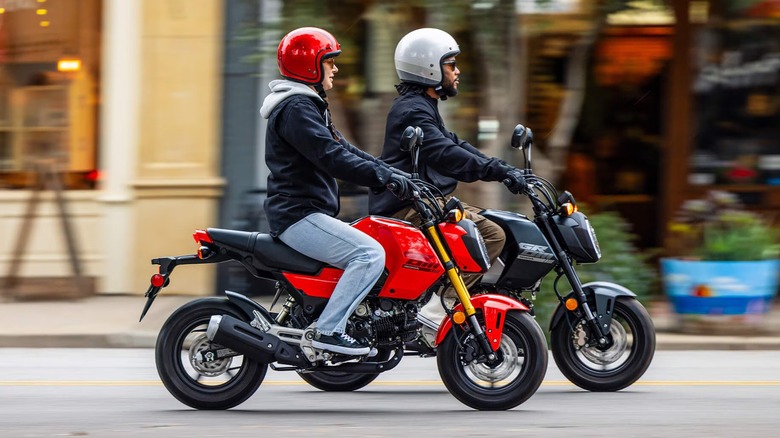 Two riders on Honda Groms