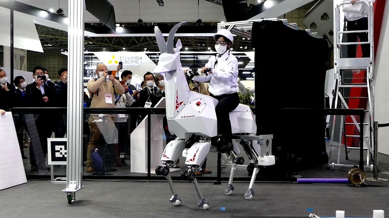 Quadruped robot Bex