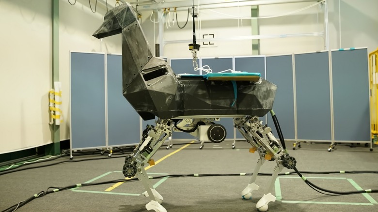 Kawasaki's Bex robot