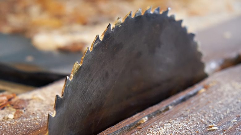 Close up of table saw cutting a board
