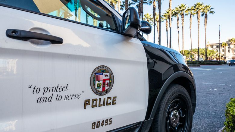 LAPD vehicle parked on curb