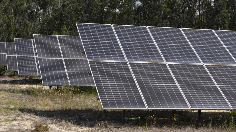 Several solar panels set up outside.