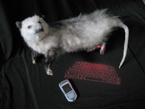 Text-o-possum - I've seen the future of text-entry, and it's furry