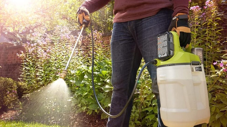 The Ryobi 18V ONE+ 2 Gallon Chemical Sprayer and Holster used in a garden.