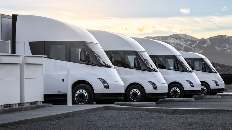 Row of Tesla Semi trucks parked