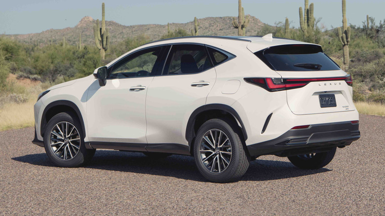 2025 Lexus 250