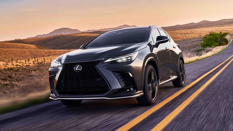 A gray 2025 Lexus NX 350 on a desert road