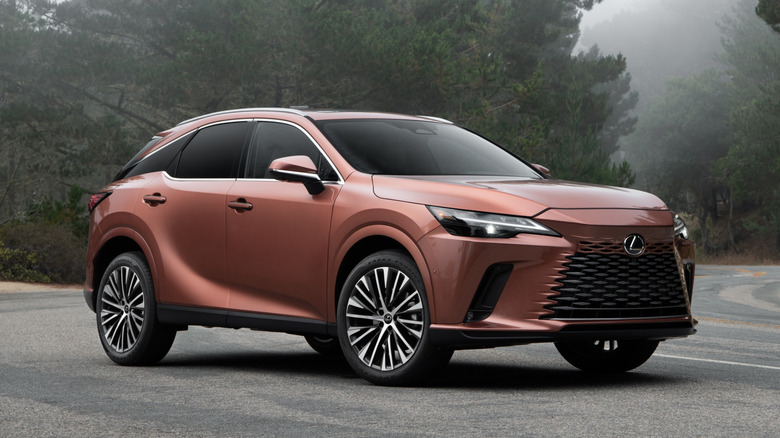 Copper 2026 Lexus RX parked on a misty, forested road.