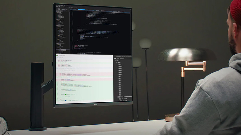 LG Ergo DualUp monitor