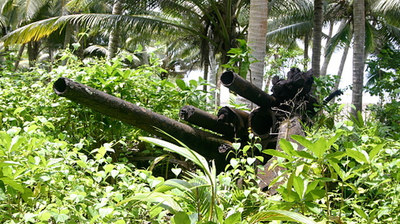 Deteriorating artillery equipment in a jungle