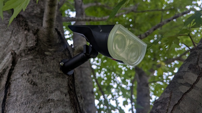 Linkind Spotlight in tree
