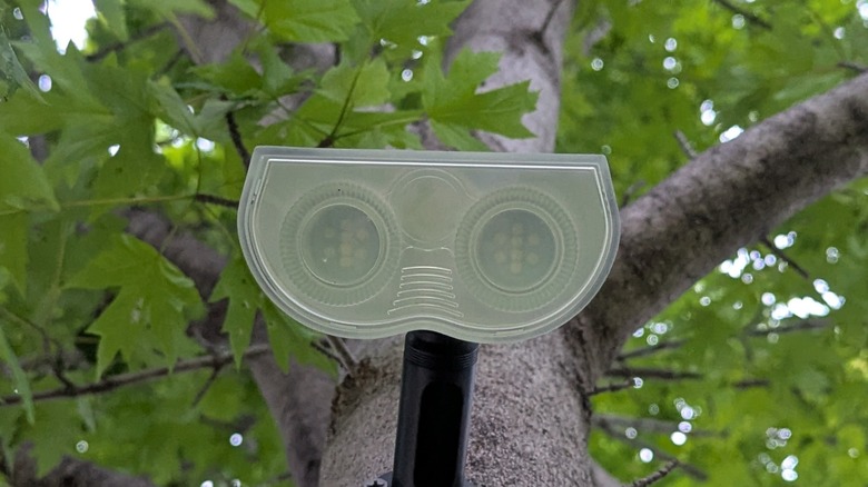 Linkind Spotlight in tree