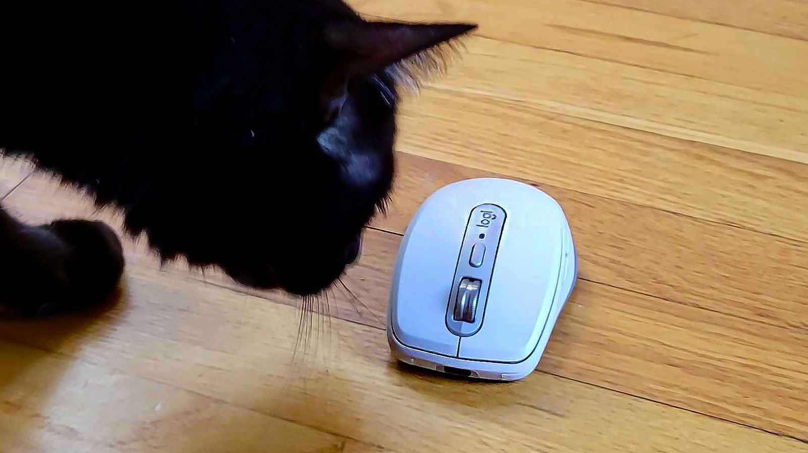 Logitech MX Anywhere 3S Review: A Wireless Mouse With Shocking Tracking Abilities – SlashGear